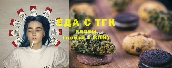 гидра Верхний Тагил