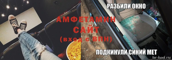 шишки Верея