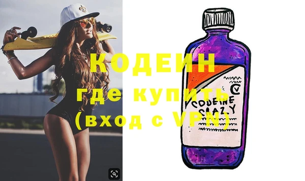 гидра Вяземский