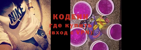 гидра Верхний Тагил