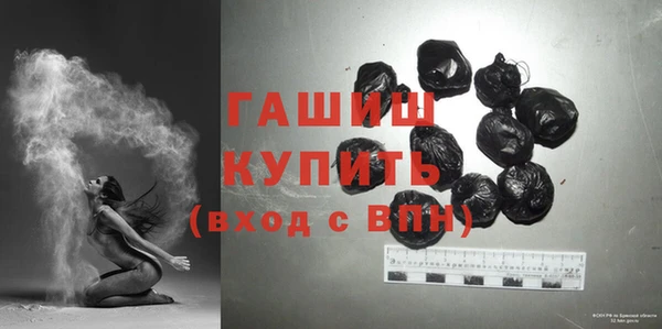 шишки Верея