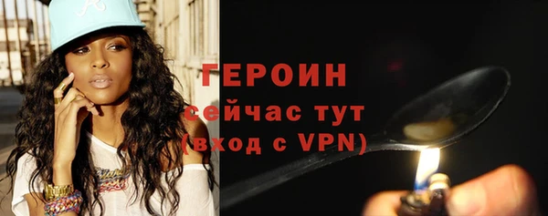 гидра Вяземский