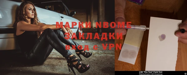 шишки Верея