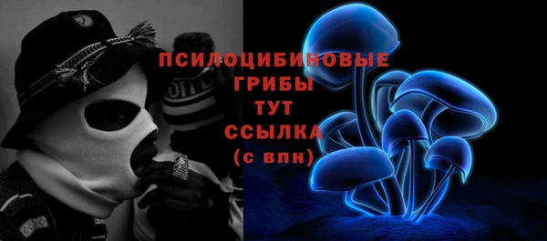 шишки Верея