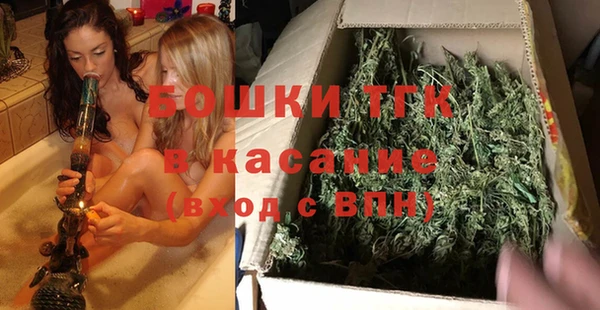 шишки Верея