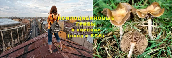 гидра Вяземский