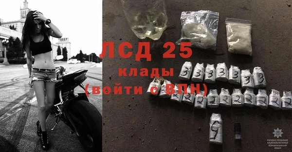 гидра Вяземский