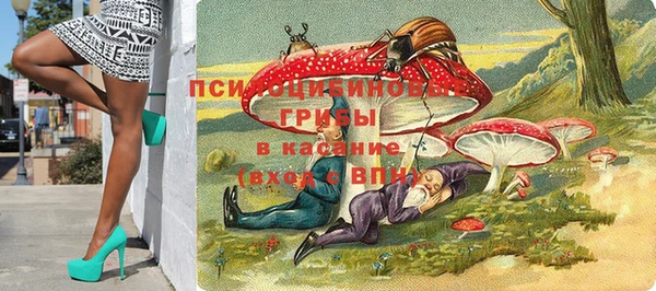 гидра Верхний Тагил