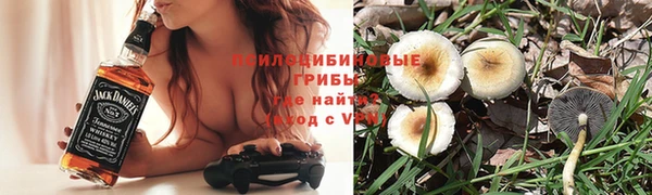 прущие грибы Верхнеуральск