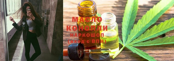 шишки Верея